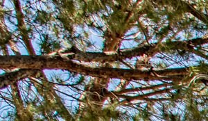 The Fountains At Palmdale Apartments 38300 30th St East